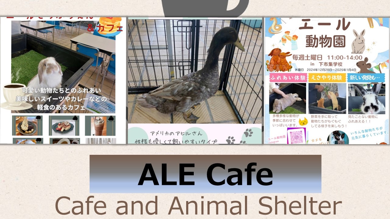 Our cafe Ale and shelter/zoo is open every Saturday from 11 am to 2pm