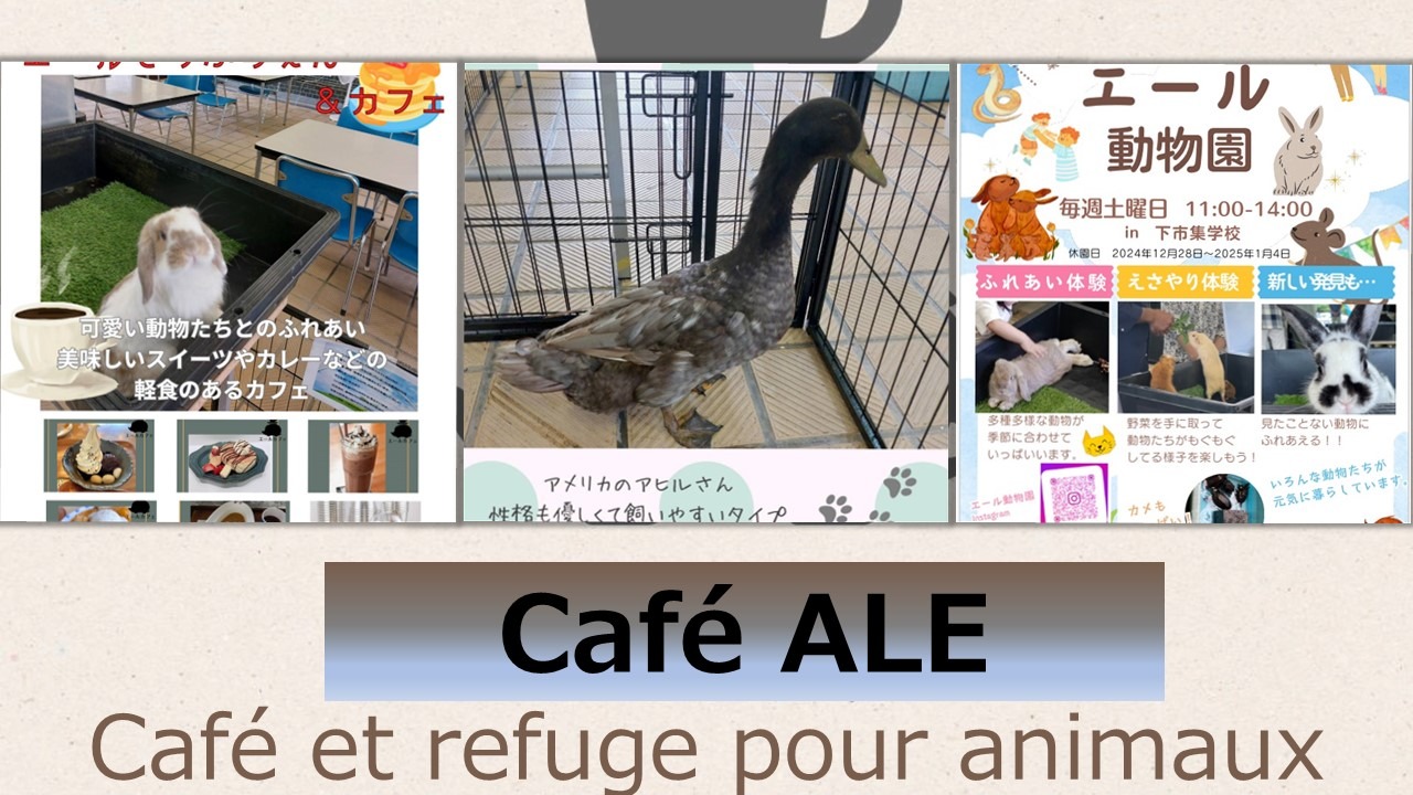 Notre café et notre refuge pour animaux vous ouvre ses portes chaque samedi de 11h à 14h