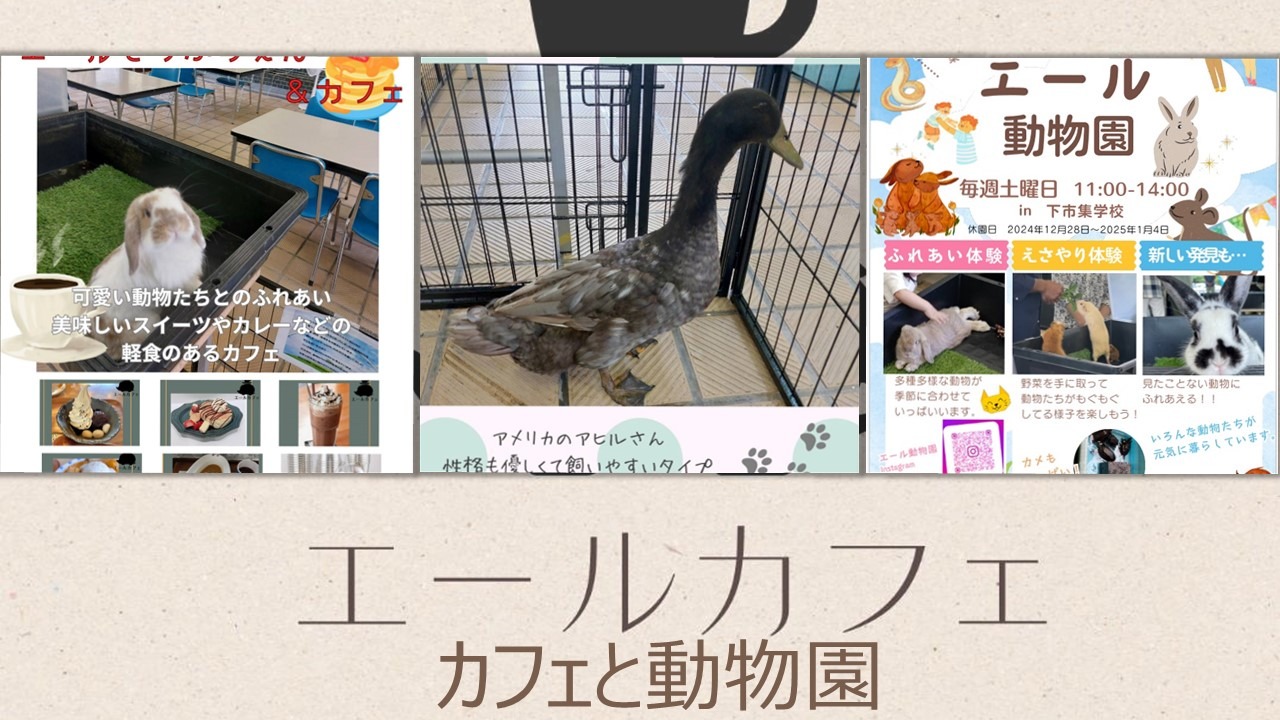 毎週土曜日動物園とカフェが開店しています